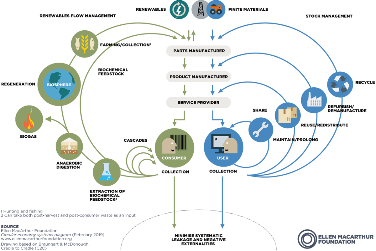 Circular Economy Ellen MacArthur